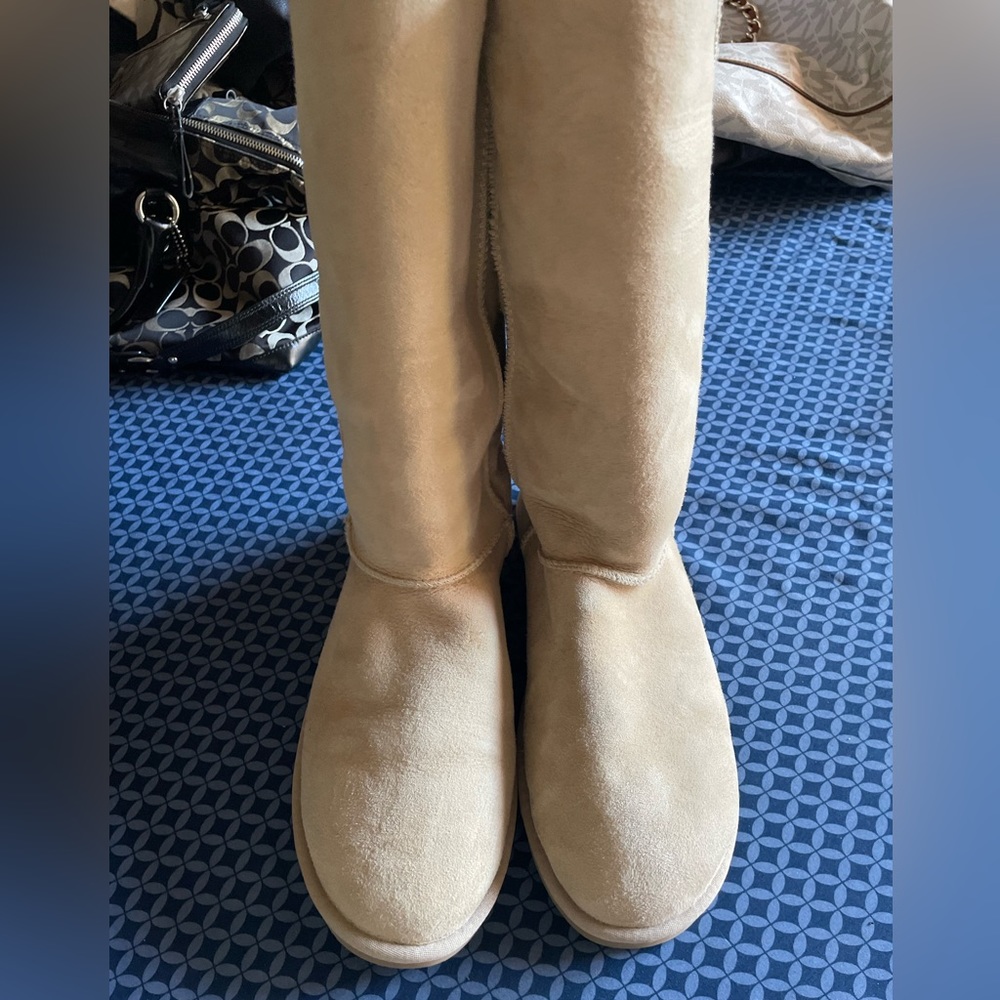 Women’s Uggs (high cut)